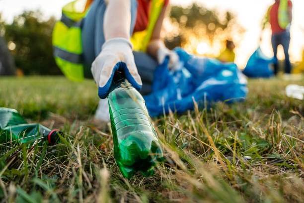 Yard Cleanup Services in Woodfield, SC
